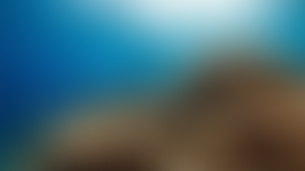 Coral Reef Restoration: How Divers Are Helping Bring Reefs Back to Life