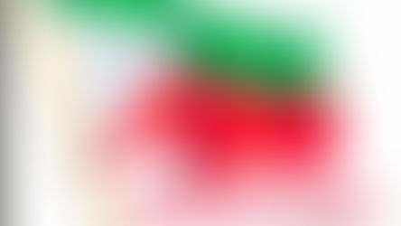 پاپولر فرنٹ آف انڈیا اور اس سے ملحقہ تنظیموں پر 5 سال تک پابندی _ مرکزی حکومت کا فیصلہ
