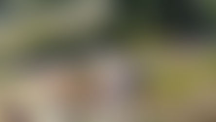 جموں وکشمیرمیں بس کھائی میں گرپڑی 11 ہلاک 27 زخمی