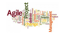 Project Management in an Agile Environment: What’s the Difference?