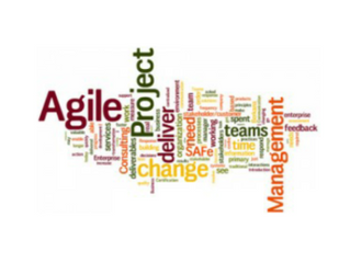 Project Management in an Agile Environment: What’s the Difference?