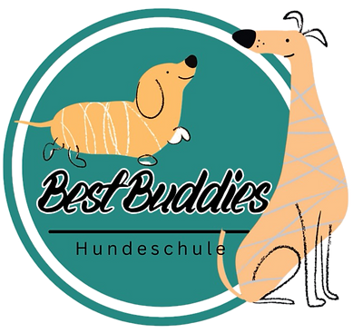 Logo der Hundeschule in Kulmbach und Bayreuth. Türkiser Kreis mit zwei Comichunden und dem Text "Best Buddies" Hundeschule