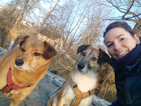 Willkommen im Best Buddies Blog – für ein Miteinander auf Augenhöhe