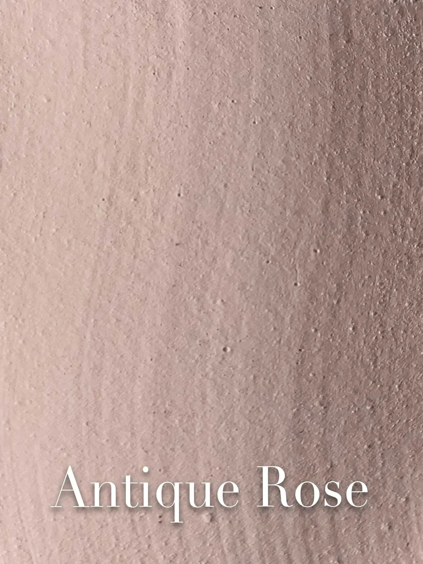 ANTIQUE ROSE