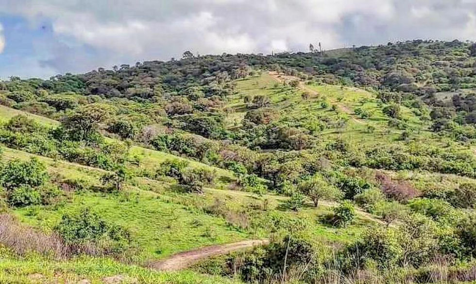 Reto de las barrancas 2024 en Ixtapan de la Sal