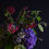 サムネイル： Mother's day Gift (Bouquet)