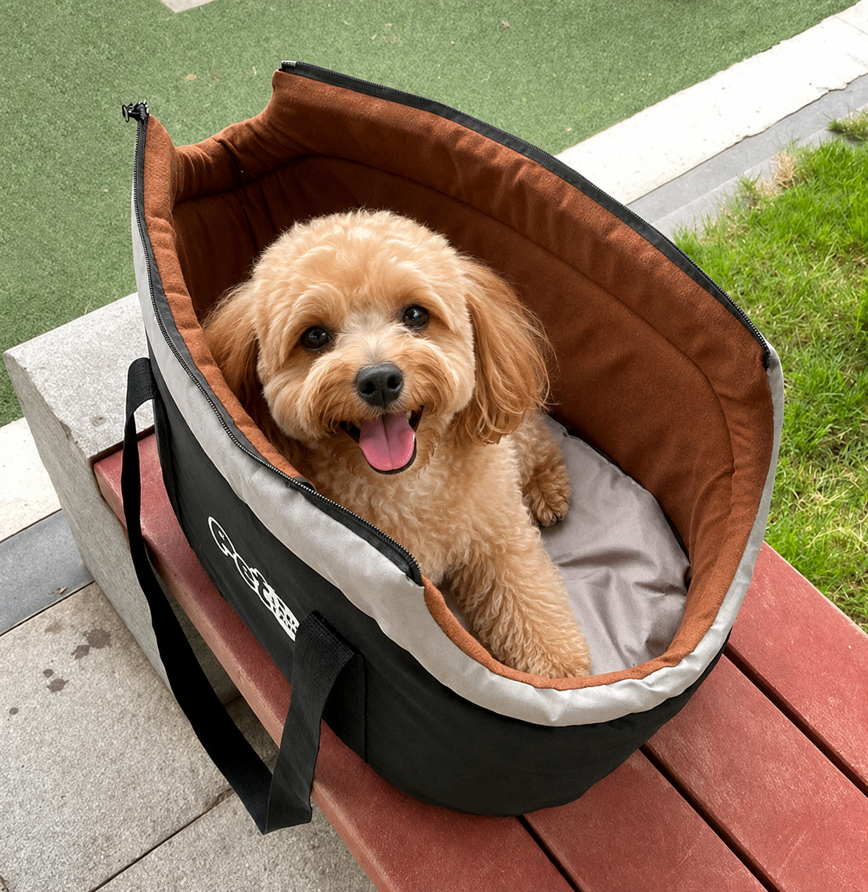 CozyPaw Carrier 🐾