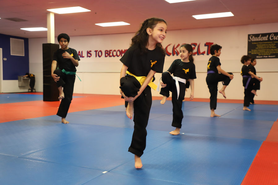 Kids practicing Tae Kwon Do kicks in class at Mohammed Tae Kwon Do in Fairfax, VA