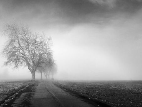 Echoes That Still Hurt: When Family Fails to Show Up