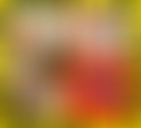 2月26日（日）第３回アート鑑賞会「草間彌生展」参加者募集！