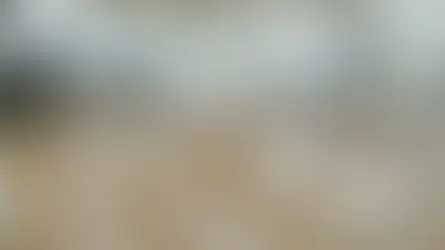 11月20日(日)西日暮里Happyサルサ