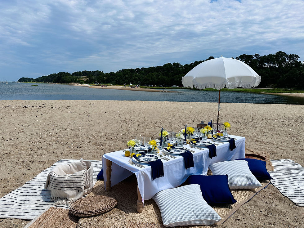 Picnic in beach