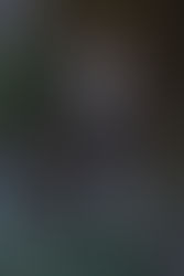 Until one has loved an animal, a part of one's soul remains unawakened. -Anatole France