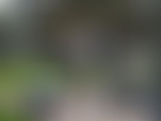 Movement is the universal language of personal freedom - Louis Chevrolet