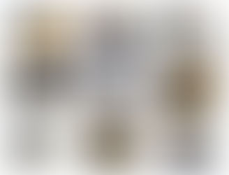 We can judge the heart of a man by his treatment of animals -Immanual Kant.