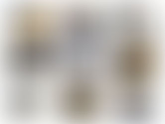 We can judge the heart of a man by his treatment of animals -Immanual Kant.