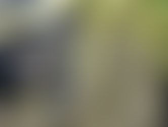 Enthusiasm just creates bubbles; it doesn't keep them from popping. -Adora Svitak.