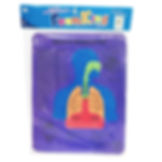 Rompecabezas 6 piezas sistema respiratorio en fomy