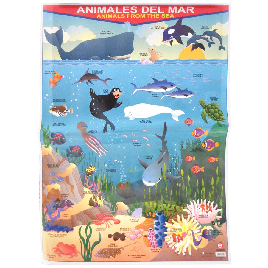Póster animales del mar
