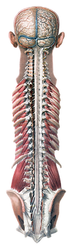 230_edited.png