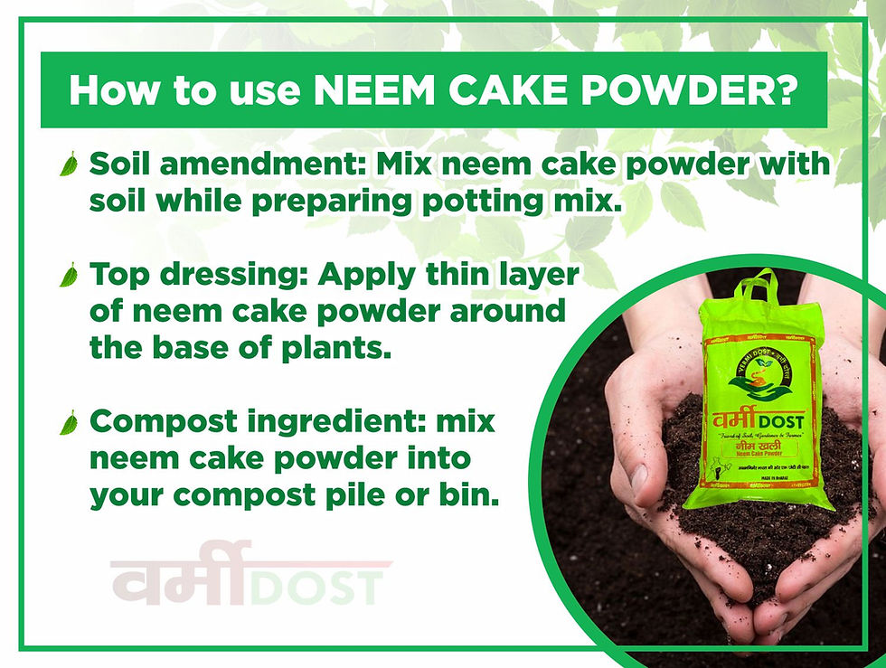 Thumbnail: Neem Cake Powder (Neem Khali)