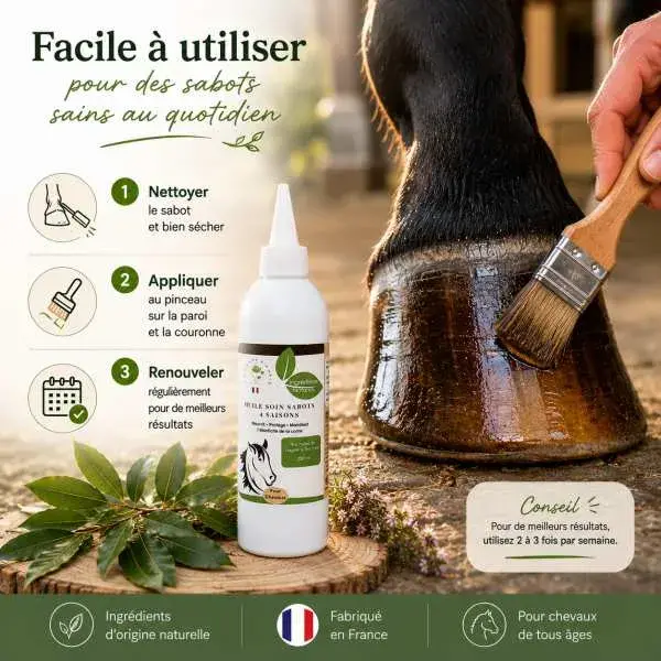 Miniature : Application au pinceau de l'huile soin sabots cheval pour un entretien simple et efficace au quotidien