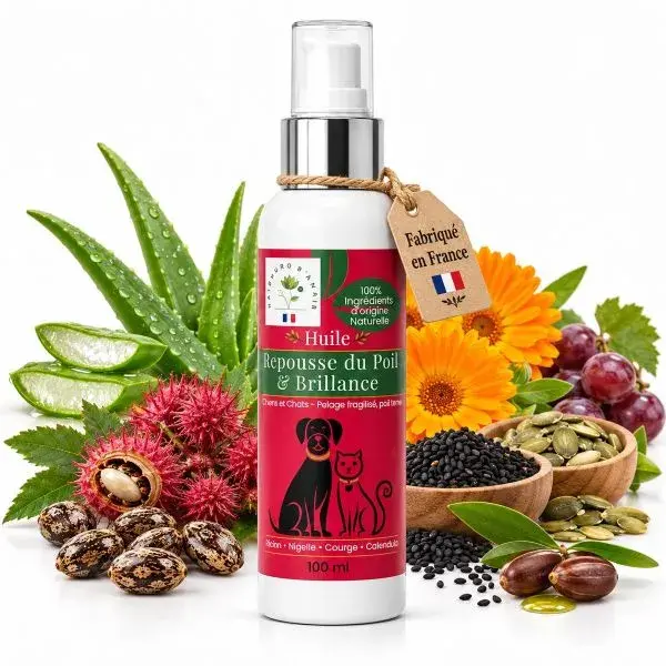 Huile Repousse Poil Chien & Chat – Chute, Alopécie & Brillance - La Phyto d'Anaïs