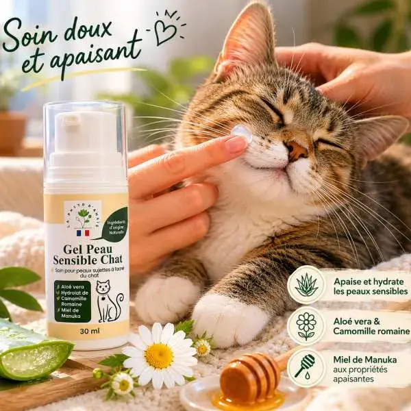 Chat détendu bénéficiant d'un soin naturel apaisant pour peau sensible et imperfections cutanées