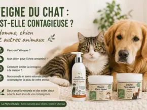 Chat et chien à la maison avec des soins naturels Myco Apaise pour illustrer la contagion possible de la teigne entre animaux et les gestes de prévention.