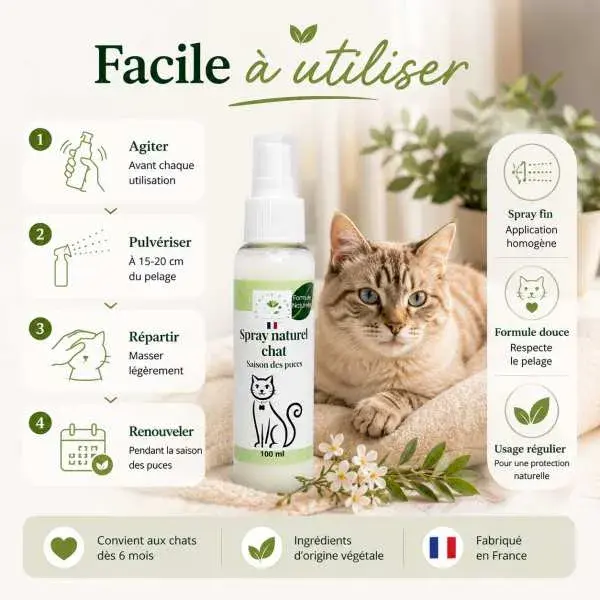 Miniature : Utilisation du spray naturel anti-puces pour chat : application facile sur le pelage et usage régulier