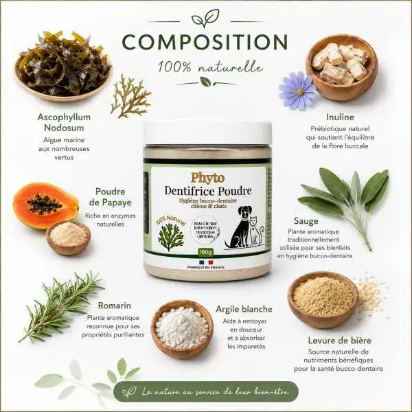 Miniature : Formule naturelle à base d'Ascophyllum nodosum, inuline, poudre de papaye, sauge, romarin, argile blanche et levure de bière