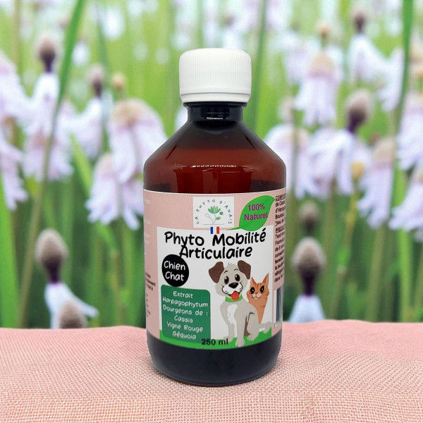 Phyto Mobilité Articulaire 250ml vu dans la nature - Tilou Nature boutique de produits naturels pour la santé des animaux
