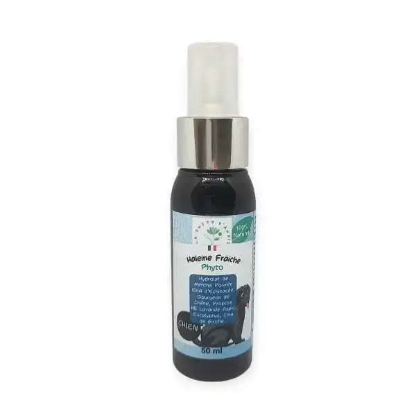 Spray Phyto Haleine Fraiche pour Chien - Tilou Nature boutique de produits naturels pour la santé des animaux