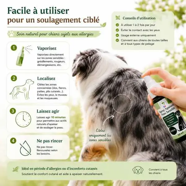 Miniature : Application localisée du Spray Apaisant Peau Sensible sur une zone sensible du chien