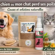 Chute de poils chien et chat : causes et solutions naturelles efficaces