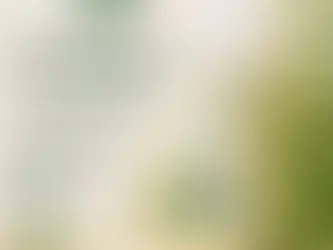 Spray naturel anti-tiques pour chien Tilou Nature, protection douce et efficace contre les tiques, flacon 100 ml