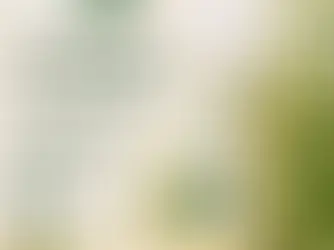 Spray naturel anti-tiques pour chien Tilou Nature, protection douce et efficace contre les tiques, flacon 100 ml