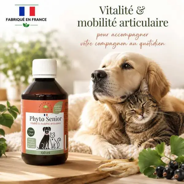 Phyto Senior – accompagne la vitalité et la mobilité articulaire du chien et du chat senior