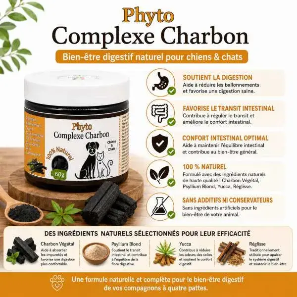 Miniature : Bienfaits du Phyto Complexe Charbon pour le transit et le confort intestinal du chien et du chat