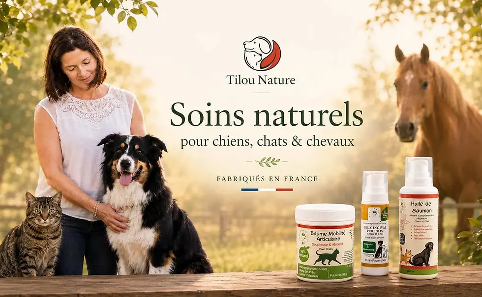 Stéphanie, fondatrice de Tilou Nature, présente des soins naturels pour chiens, chats et chevaux.