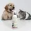 Miniature : Shampoing antifongique naturel pour chien et chat Myco Apaise – soin pour peaux sensibles sujettes aux mycoses