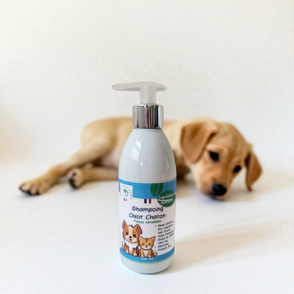 Shampoing naturel vu avec un chiot - Tilou Nature boutique de produits naturels pour la santé des animaux