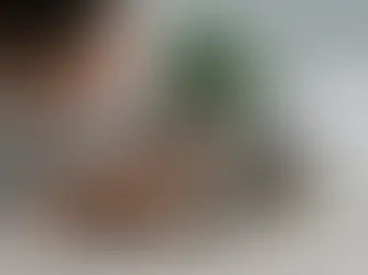 Chat au repos à la maison pendant la surveillance d’une teigne et de la repousse des poils.