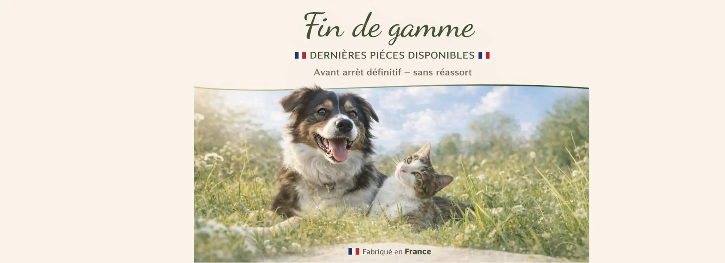 fin de gamme Tilou Nature, représenté par un chien et un chat dans l'herbe_modifié_convert