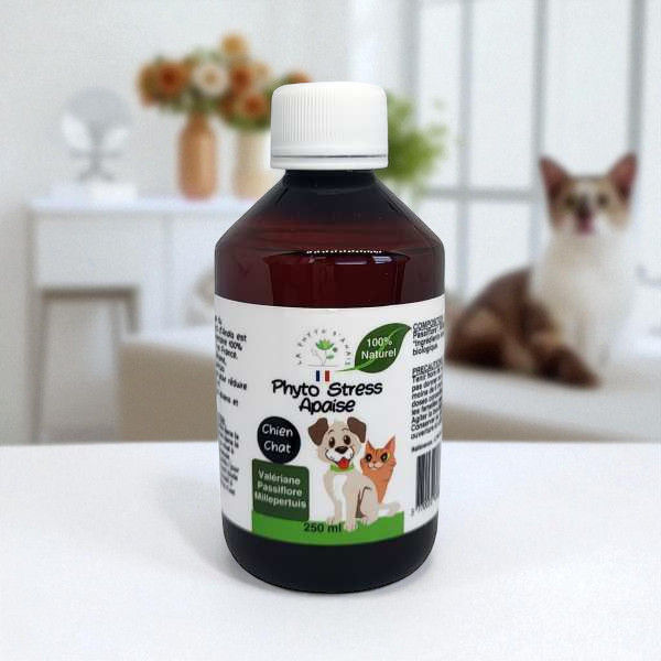 Phyto Stress Apaise pour animaux sur un plan de travail  - Boutique Tilou Nature