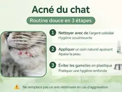 acné du chat au menton routine en 3 étapes