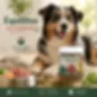 Chien en pleine forme nourri au BARF avec un complément naturel riche en minéraux et oligo-éléments