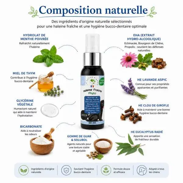 Miniature : Composition naturelle du spray Haleine Fraîche Phyto : menthe poivrée, propolis, échinacée, miel de thym et eucalyptus