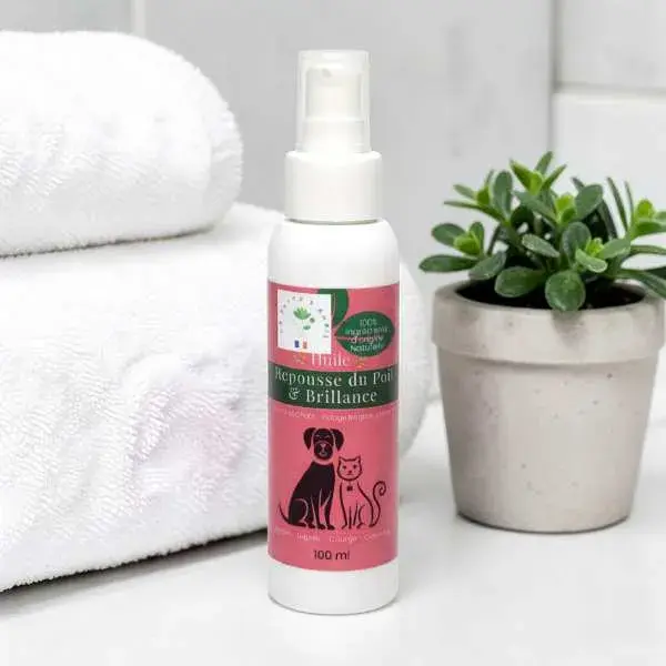 huile pelage chien application repousse poil chien chute de poils soin naturel