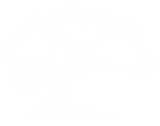 YSG Logo white no text.png